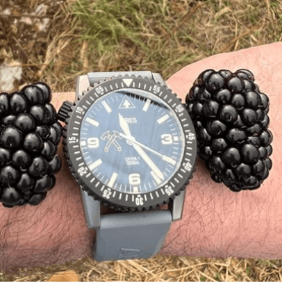 Huge blackberries